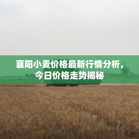 富贵不能淫