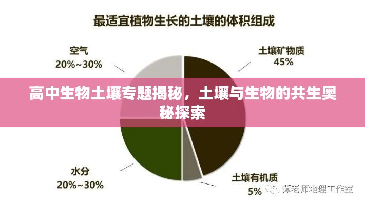 高中生物土壤专题揭秘，土壤与生物的共生奥秘探索
