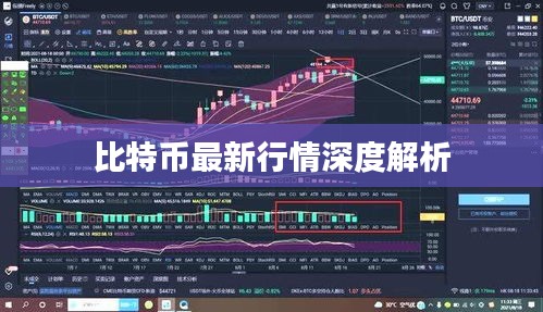 比特币最新行情深度解析
