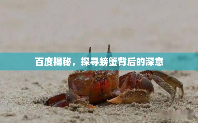 百度揭秘，探寻螃蟹背后的深意