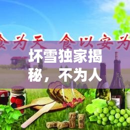 坏雪独家揭秘，不为人知的真相大揭秘
