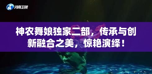 神农舞娘独家二部，传承与创新融合之美，惊艳演绎！
