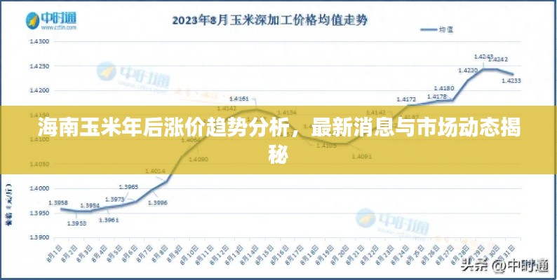 海南玉米年后涨价趋势分析，最新消息与市场动态揭秘
