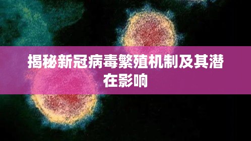 揭秘新冠病毒繁殖机制及其潜在影响