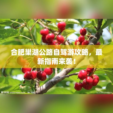 合肥巢湖公路自驾游攻略，最新指南来袭！