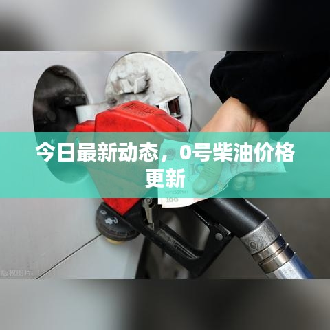 今日最新动态，0号柴油价格更新