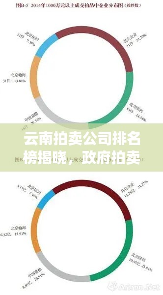 云南拍卖公司排名榜揭晓，政府拍卖行业力量分布一览