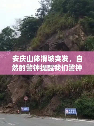 鬼张鬼智