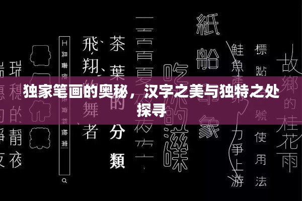 独家笔画的奥秘，汉字之美与独特之处探寻