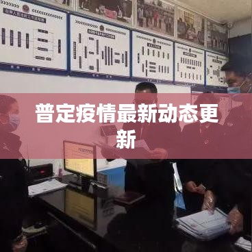 普定疫情最新动态更新
