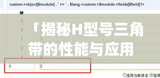 「揭秘H型号三角带的性能与应用，专业探讨，百度权威解读」