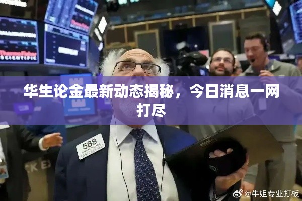 华生论金最新动态揭秘，今日消息一网打尽