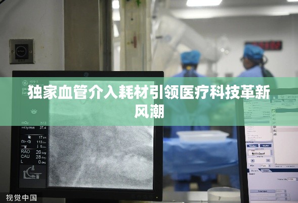 独家血管介入耗材引领医疗科技革新风潮
