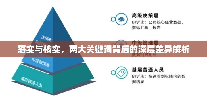 落实与核实，两大关键词背后的深层差异解析