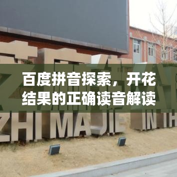 百度拼音探索，开花结果的正确读音解读