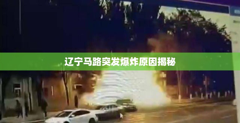 辽宁马路突发爆炸原因揭秘