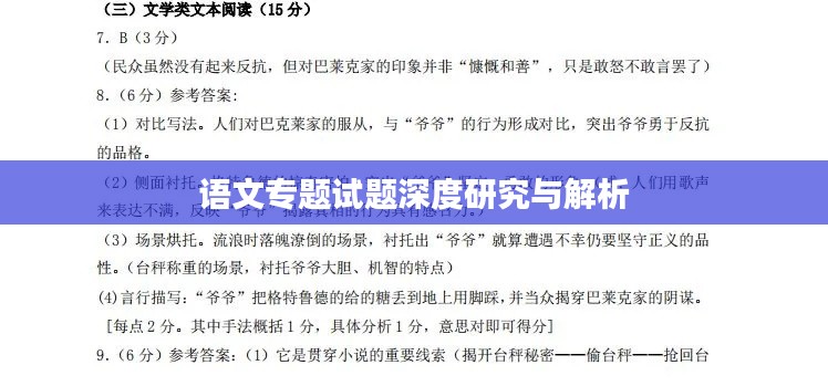 语文专题试题深度研究与解析