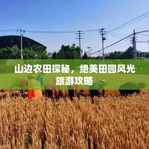 山边农田探秘，绝美田园风光旅游攻略