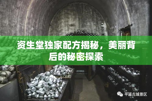 资生堂独家配方揭秘，美丽背后的秘密探索