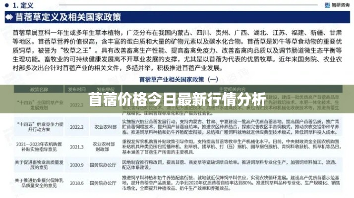 苜蓿价格今日最新行情分析