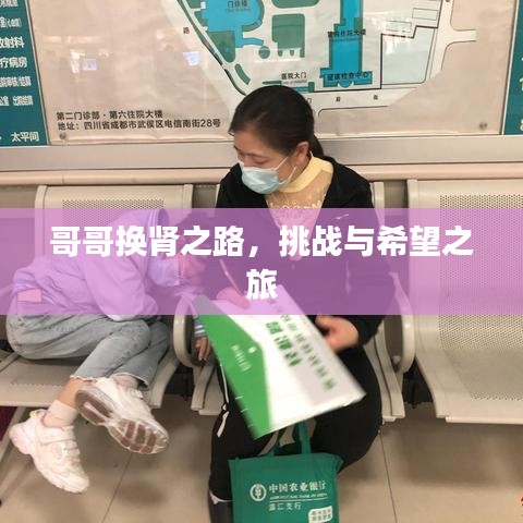 哥哥换肾之路，挑战与希望之旅