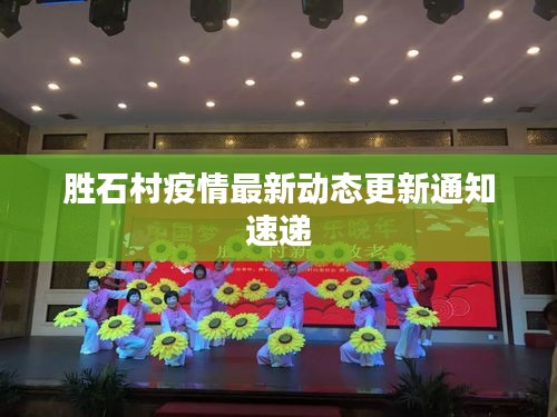 胜石村疫情最新动态更新通知速递