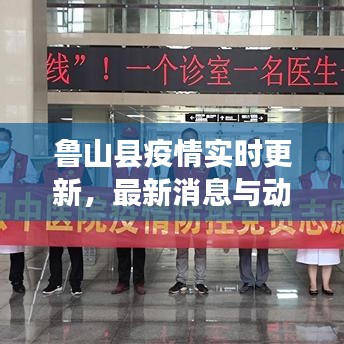 鲁山县疫情实时更新，最新消息与动态