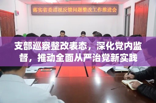 支部巡察整改表态，深化党内监督，推动全面从严治党新实践