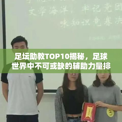 新澳中心 第13页