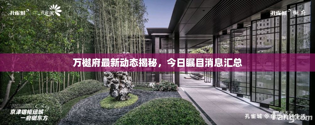 万樾府最新动态揭秘，今日瞩目消息汇总