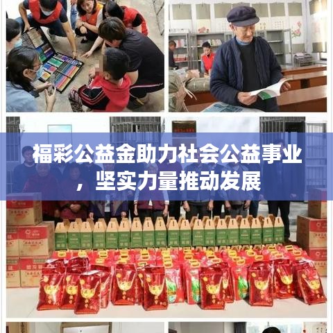 福彩公益金助力社会公益事业，坚实力量推动发展