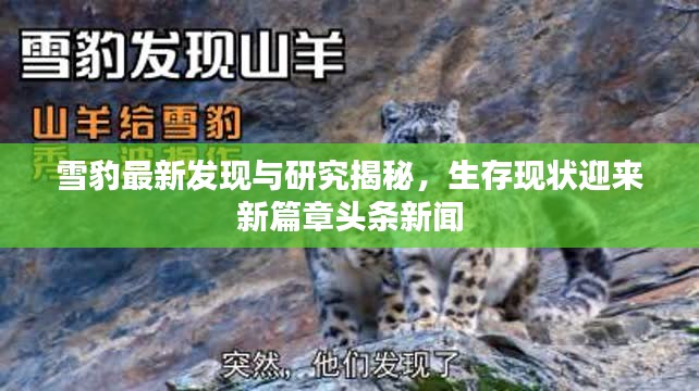 关于我们 第13页