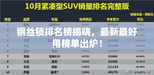 钢丝锁排名榜揭晓，最新最好用榜单出炉！