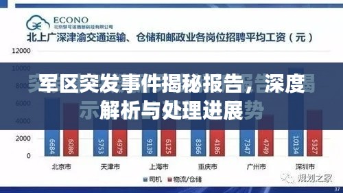 军区突发事件揭秘报告，深度解析与处理进展