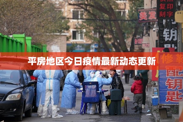 平房地区今日疫情最新动态更新