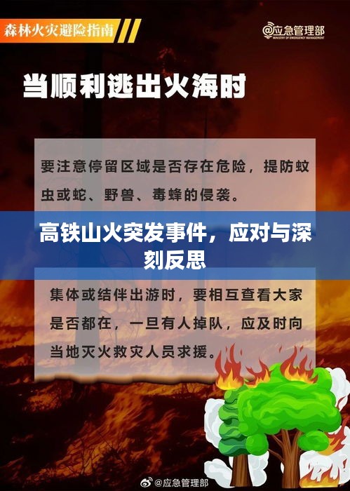 择善而从