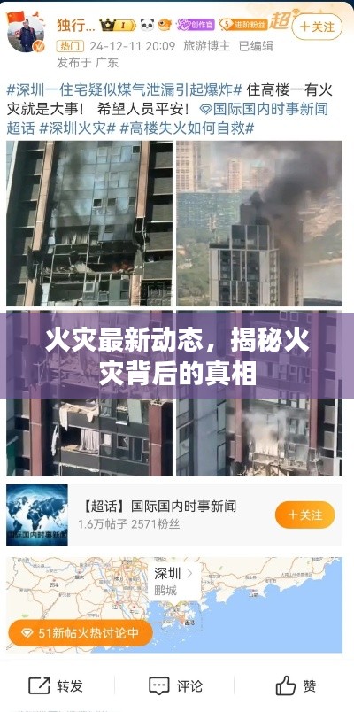 火灾最新动态，揭秘火灾背后的真相