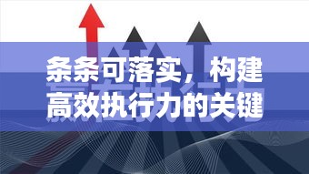 条条可落实，构建高效执行力的关键基石
