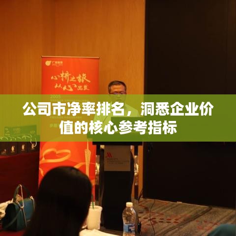 公司市净率排名，洞悉企业价值的核心参考指标