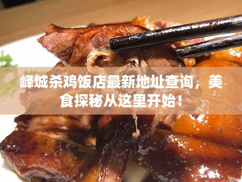 峄城杀鸡饭店最新地址查询，美食探秘从这里开始！