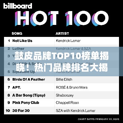 鼓皮品牌TOP10榜单揭晓！热门品牌排名大揭秘