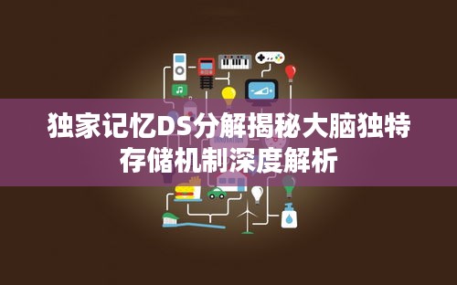 独家记忆DS分解揭秘大脑独特存储机制深度解析