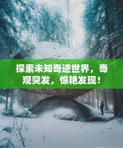 探索未知奇迹世界，奇观突发，惊艳发现！