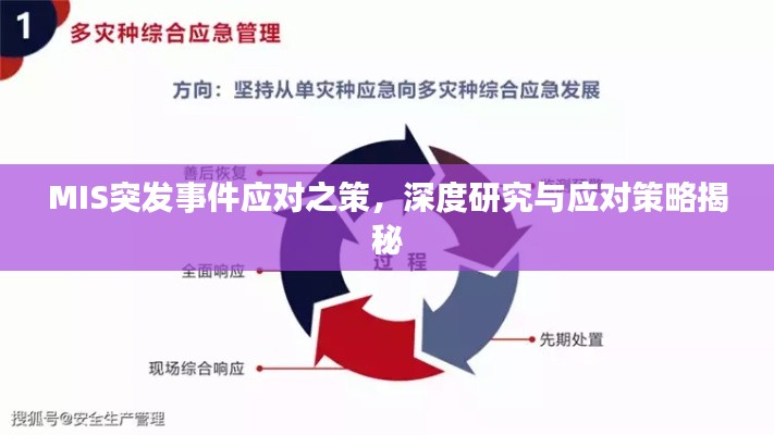 MIS突发事件应对之策，深度研究与应对策略揭秘
