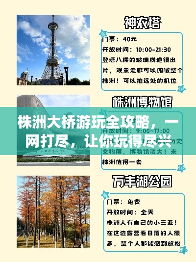 株洲大桥游玩全攻略，一网打尽，让你玩得尽兴！