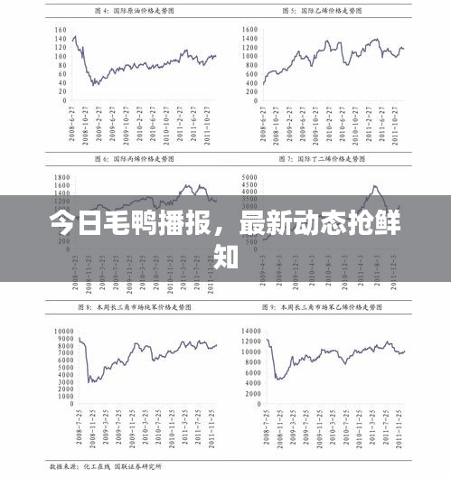 粗枝大叶