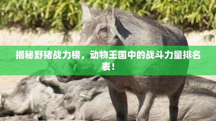 2025年4月 第9页