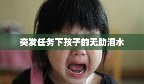 突发任务下孩子的无助泪水