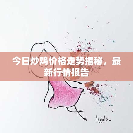 今日炒鸡价格走势揭秘，最新行情报告