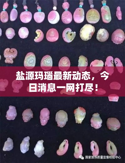 盐源玛瑙最新动态，今日消息一网打尽！